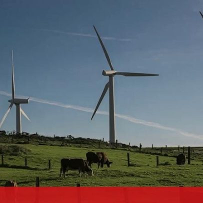 Zero diz que transposição da diretiva de eficiência energética requer metas