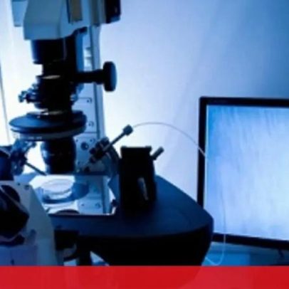 Cientistas implantam embrião em endométrio artificial com sucesso