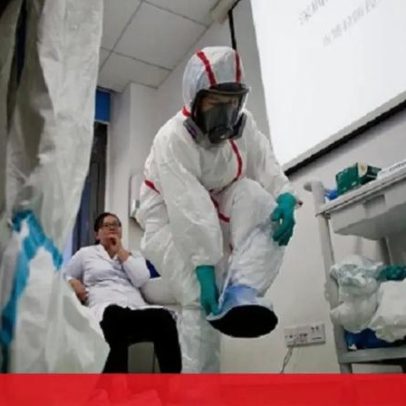 Focos de gripe das aves em Portugal sobem para 50 este ano