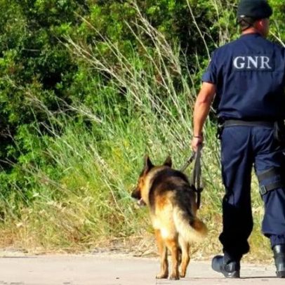 Homem desaparecido em Gaia é encontrado com vida