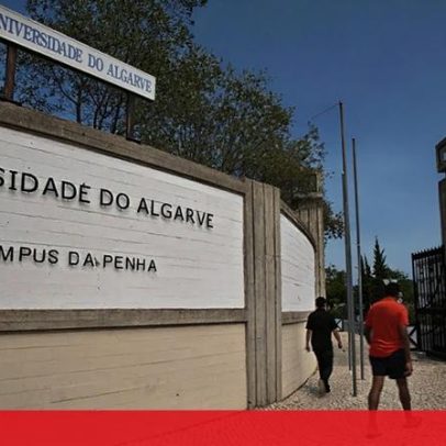 Equipa da U. do Algarve faz descoberta pioneira no deserto
