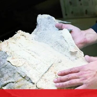 Bacalhau e peru sobem de preço neste Natal