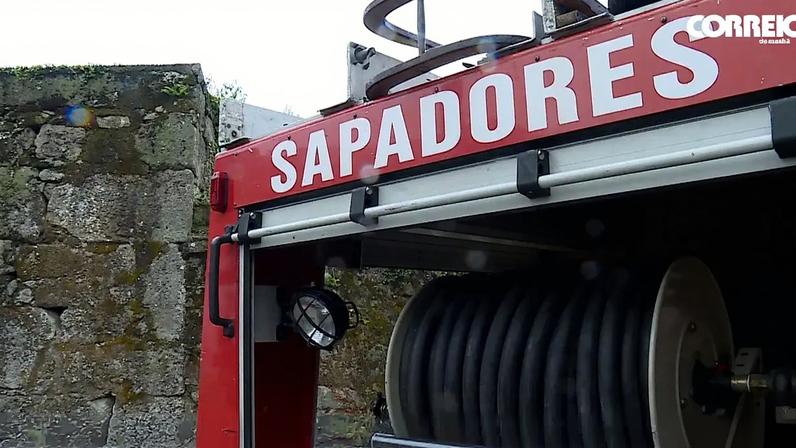 Sapadores do Porto foram acionados para o local