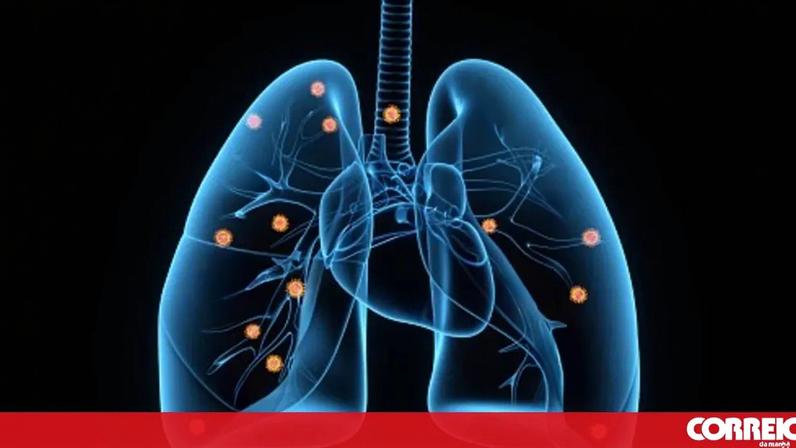 Gripenet reabre participação da população na vigilância de infeções respiratórias