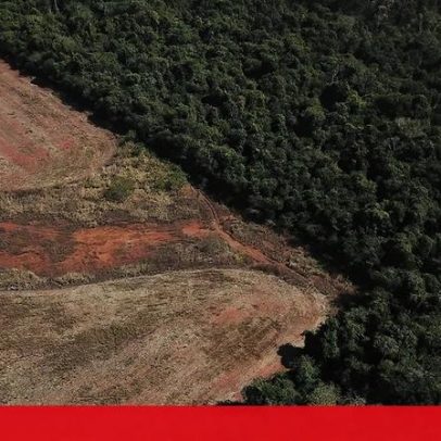 UE prolonga prazo para implementar regras contra desflorestação de produtos