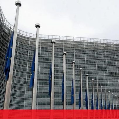 Bruxelas atualiza medidas contra gripe aviária após 74 novos casos