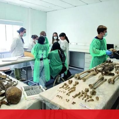 Especialistas forenses defendem estatuto próprio e ordem profissional