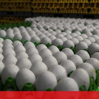 Pão e pastelaria sobem ligeiramente em 2026, devido aos ovos