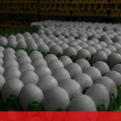 Pão e pastelaria sobem ligeiro em 2026 principalmente por ovos