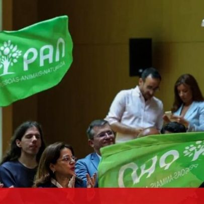 PAN pede audiências sobre prevenção de pornografia infantil em PCs governamentais