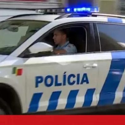 Apreensão de armas e resgate de dezenas de animais em operação em São João da Talha
