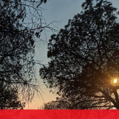 Incendiário julgo-se por atear quatro fogos em Monchique, Portimão e Lagos