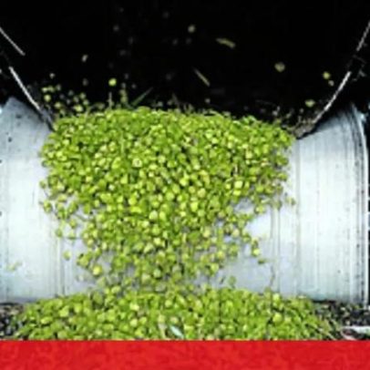 Preço do azeite deverá manter-se estável em 2026