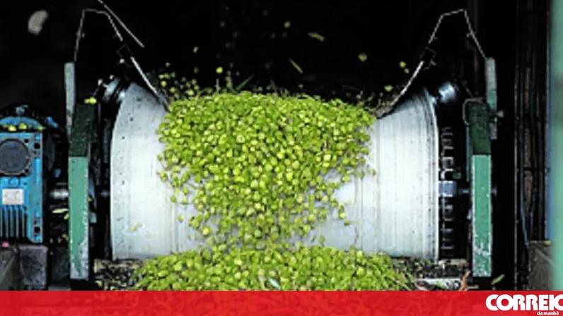 Preço do azeite deverá manter-se estável em 2026