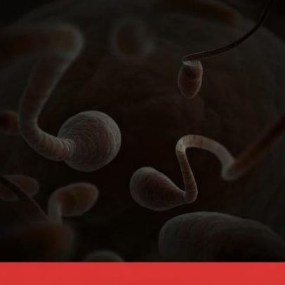Dador com mutação genética cancerígena gera quase 200 descendentes na Europa