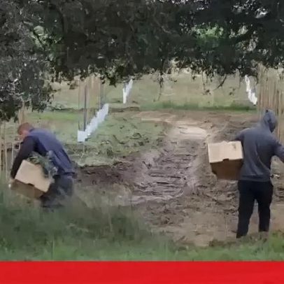 Tribunal de Beja adia acórdão em caso de alegada exploração de imigrantes