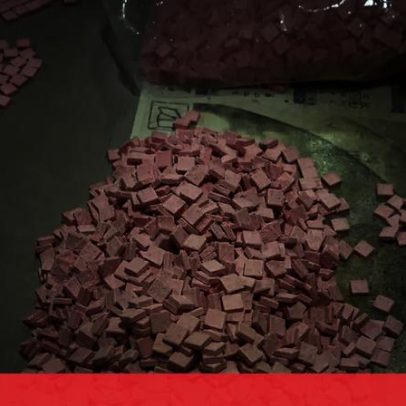 PSP apreende 5000 comprimidos de ecstasy em mochila abandonada na Gare do Oriente