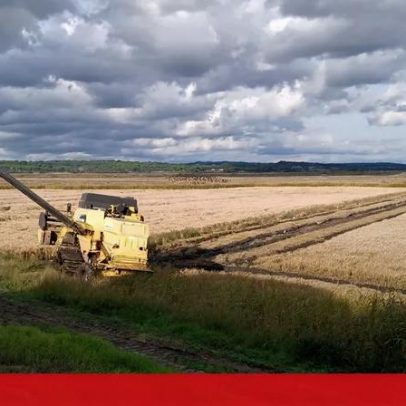 Homem gravemente ferido em acidente de trabalho em Alcácer do Sal