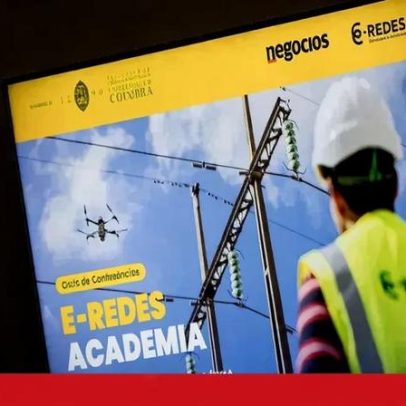 E-Redes vai a julgamento por abate ilegal de sobreiros em Oliveira de Azeméis