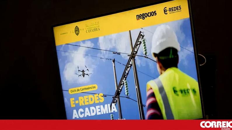 E-Redes vai a julgamento por abate ilegal de sobreiros em Oliveira de Azeméis