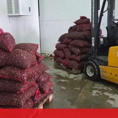 Polícia Marítima e ASAE apreendem 2,5 t de amêijoa japónica no Tejo