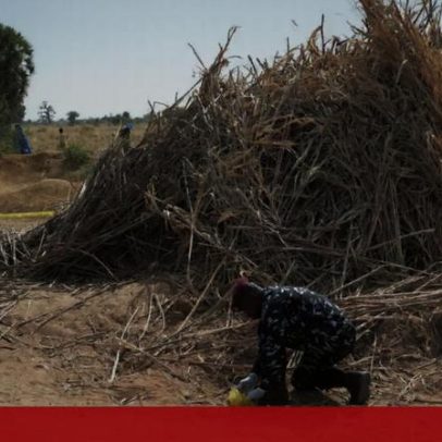 Nigéria admite envio de tropas americanas ao país