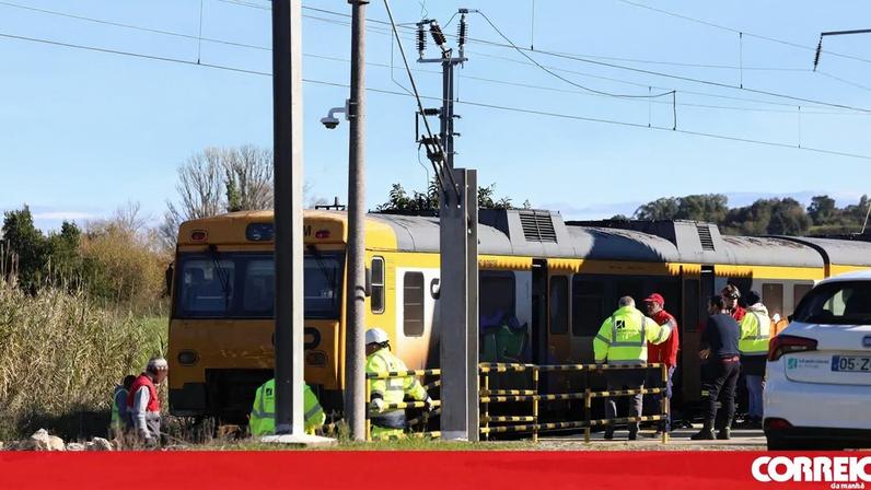 Comboio atropela mortalmente rebanho de 100 ovelhas em Montemor-o-Velho