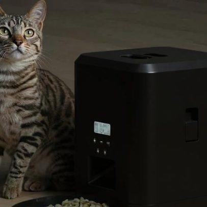Alimentador automático no AliExpress custa menos de 40€ para animais