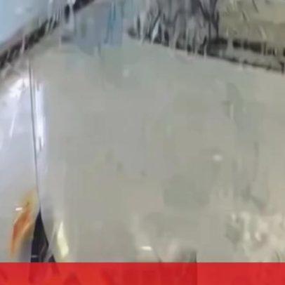 Carro entra pela montra de loja nos EUA, vídeo mostra incidente