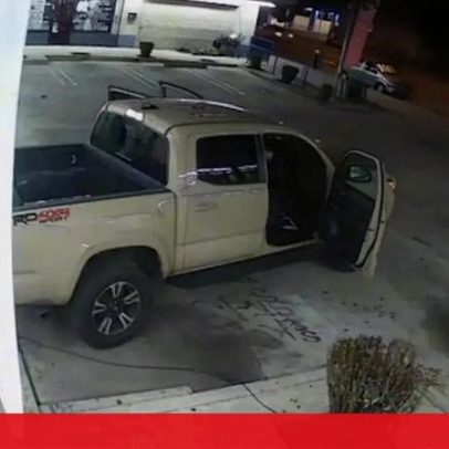 Ladrões roubam gato de estimação após invadirem barbearia com carrinha