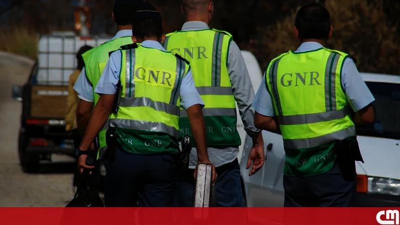 PSP e GNR registam 12 mortes e 433 condutores detidos por álcool em sete dias