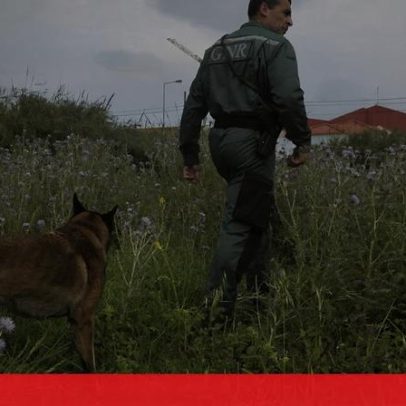 Idosos desaparecidos no Natal encontrados sem vida na Mealhada