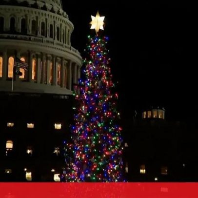 Capitólio acende árvore de Natal de 2025