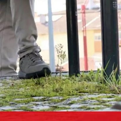 Homem esfaqueado pelo namorado em Coimbra