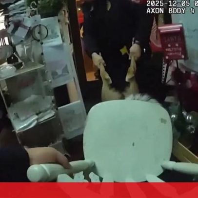 Rena invade loja de Natal e fica com a cabeça presa numa cadeira