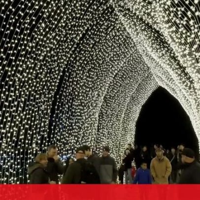 Exposição reúne mais de um milhão de luzes, música e flores gigantes num parque