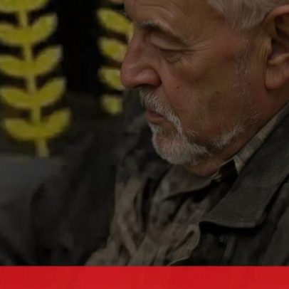 Homem desaparecido na Lousã — autoridades reforçam perímetro de buscas
