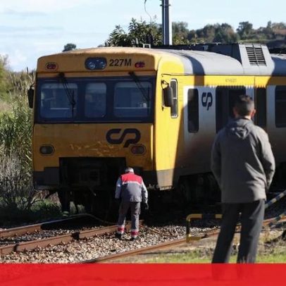 Comboio atropela e mata 100 ovelhas em Montemor-o-Velho