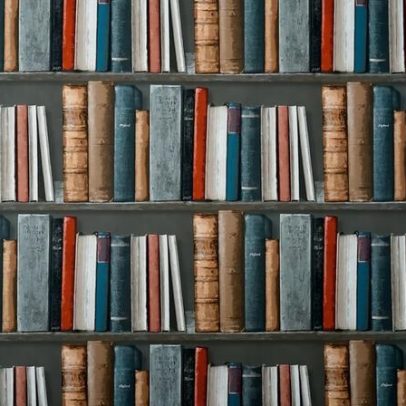 Cheque-livro disponível a partir de 2 de janeiro; livrarias já podem candidatar-se
