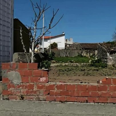 Homem tenta matar ex-genro com carro na Figueira da Foz