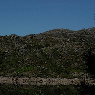 Plano de Restauro da Natureza com reembolso até 2026