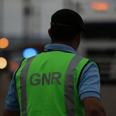 GNR apreende 2,3 toneladas de amêijoa-japonesa em Vilar Formoso