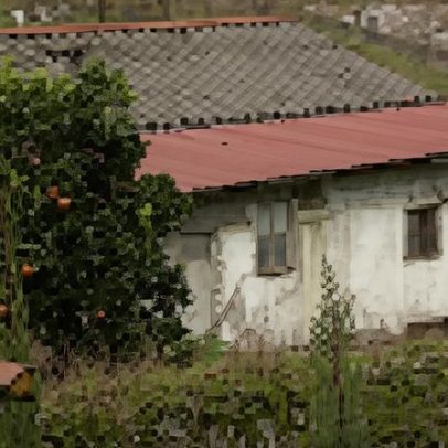 Mulher abriu portão a homicida que a atacou à paulada