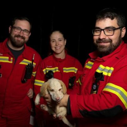 Bombeiros resgatam cão preso num buraco
