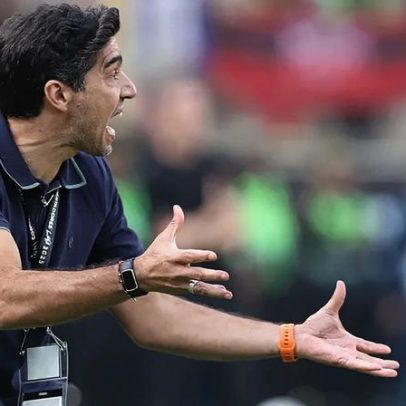Abel Ferreira é visto como quem melhor entende o Palmeiras