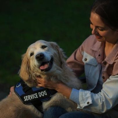 Terapia assistida por animais cresce em Portugal, da hipoterapia até cães