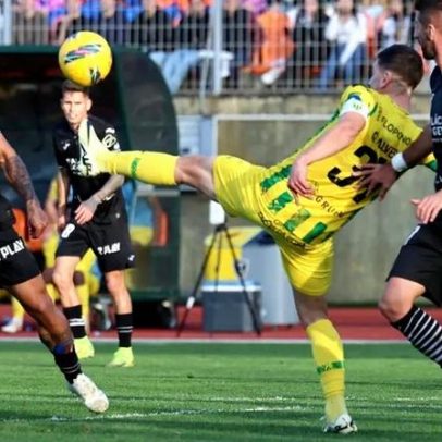 Ac. Viseu e Tondela vão ajudar a plantar 500 carvalhos na região