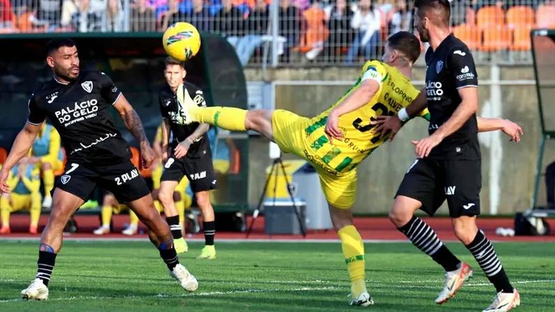 Ac. Viseu e Tondela vão ajudar a plantar 500 carvalhos na região