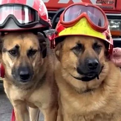 Calendário mais fofo do país: Charlie e Óscar, os patudos do quartel de Areosa
