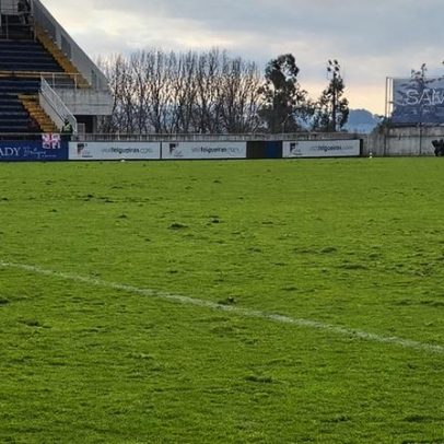 Relvado de Felgueiras-FC Porto B recebe críticas de João Brandão